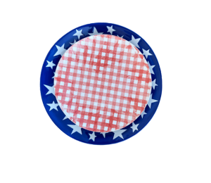 Altamonte Springs Color Me Mine Patriotic Set